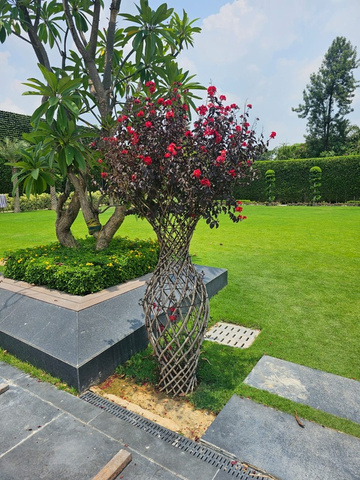 Landscape planter and lawn detailing project